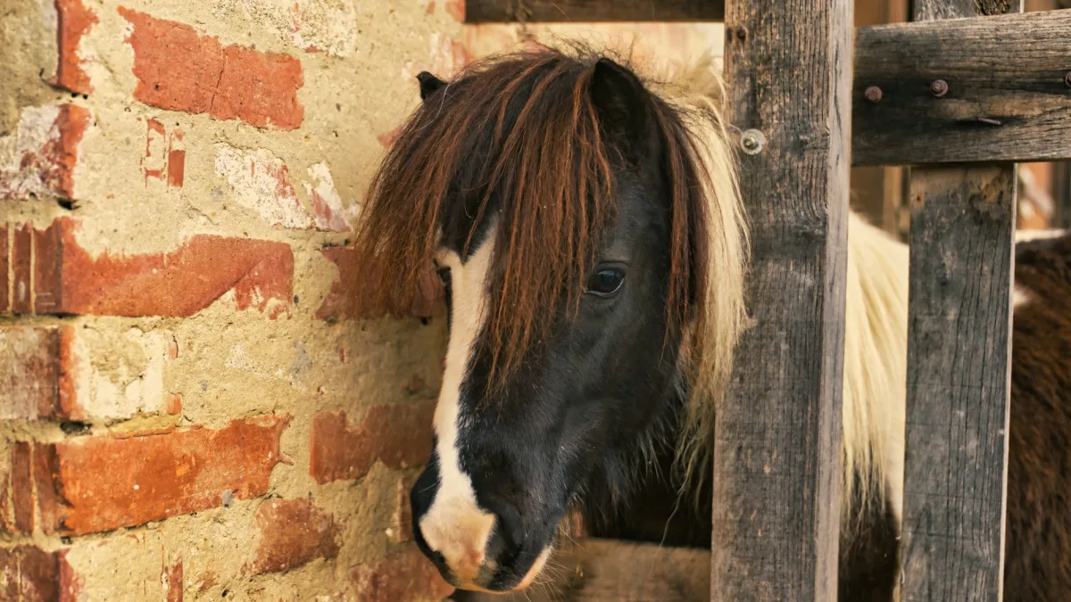 Pony AI (PONY) Sees Billionaire Holdings Drop by $143M in 2026