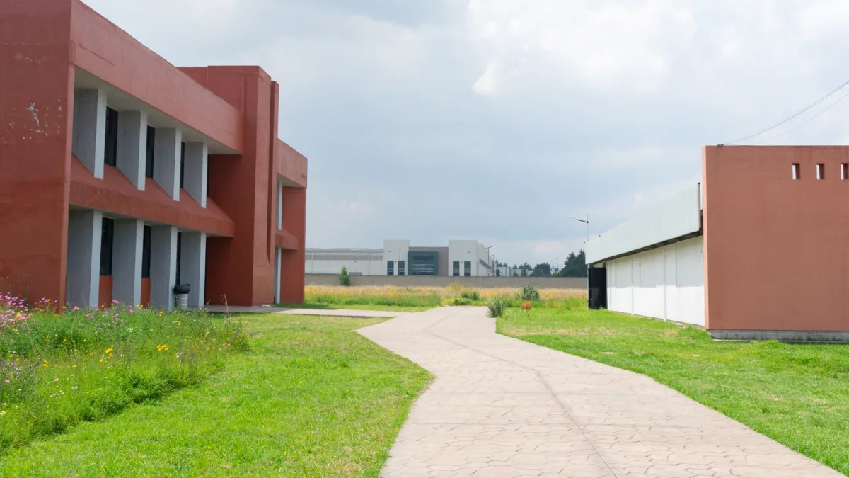 U.S. Mexico Open Fly Facility for Screwworm Outbreak Control