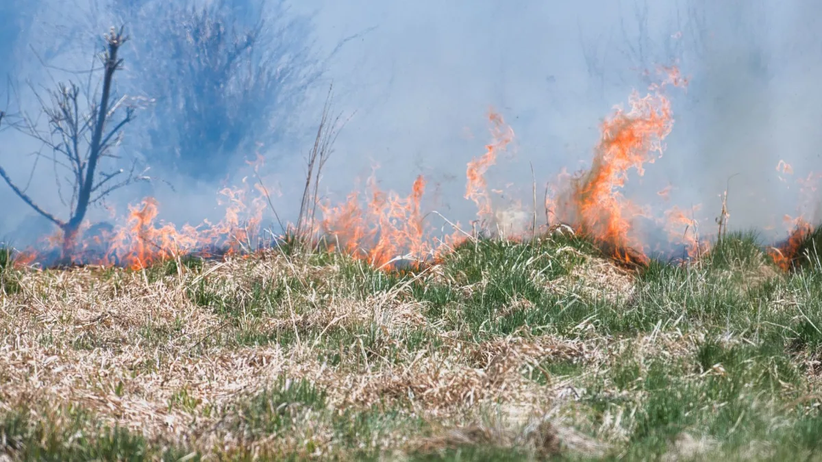 Italy Heatwave Raises Wildfire Concerns Amid Climate Impact