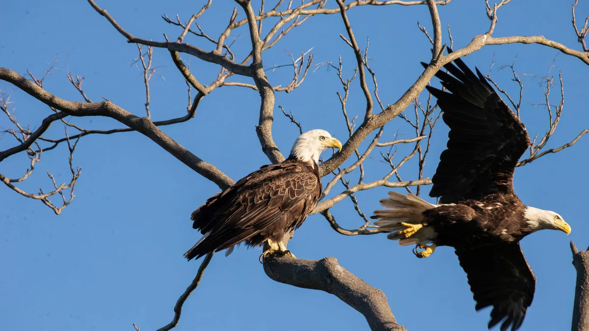 Kroger (KR) Acquires Giant Eagle for $1.65 Billion