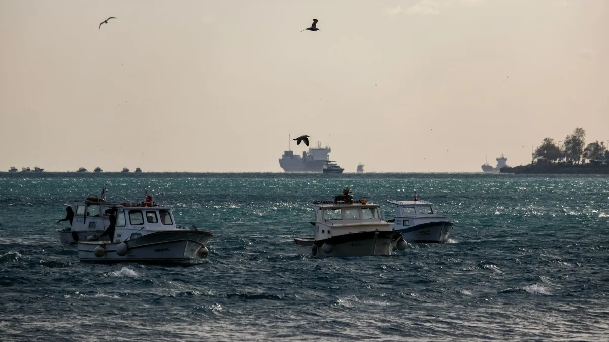 Trump Withdraws Plan for Strait of Hormuz Fees Amid Attacks