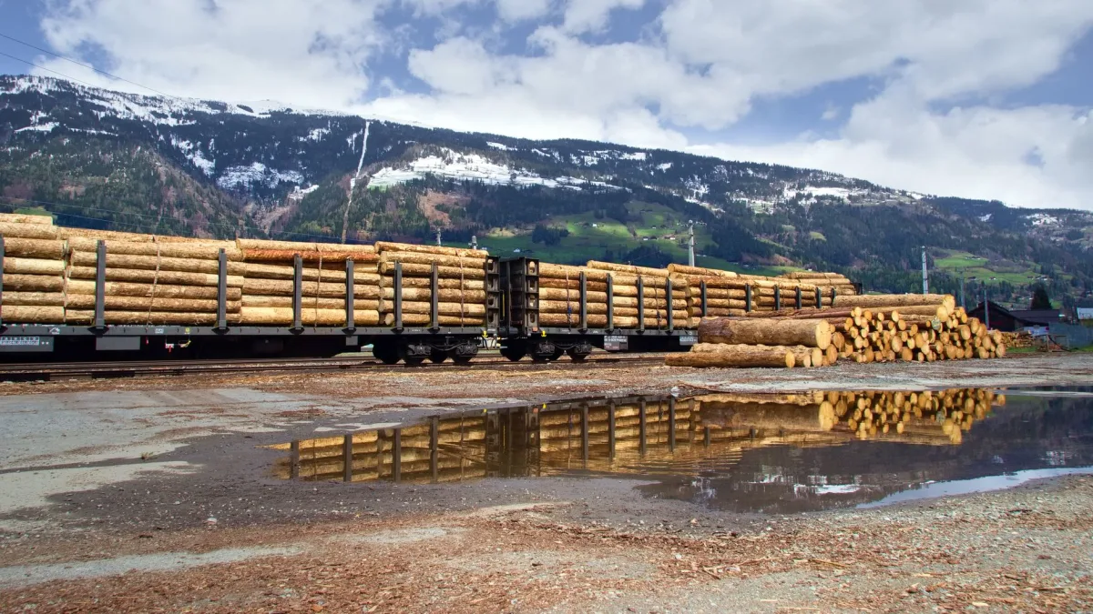 Oriola Q2 2026: Mixed Freight Costs Impact Margins Significantly