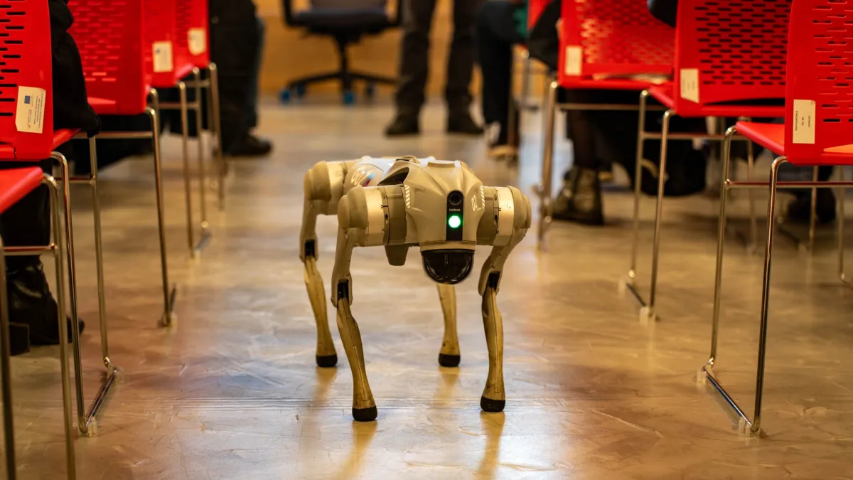 China Offers 5,000 AI Training Opportunities at World AI Conference