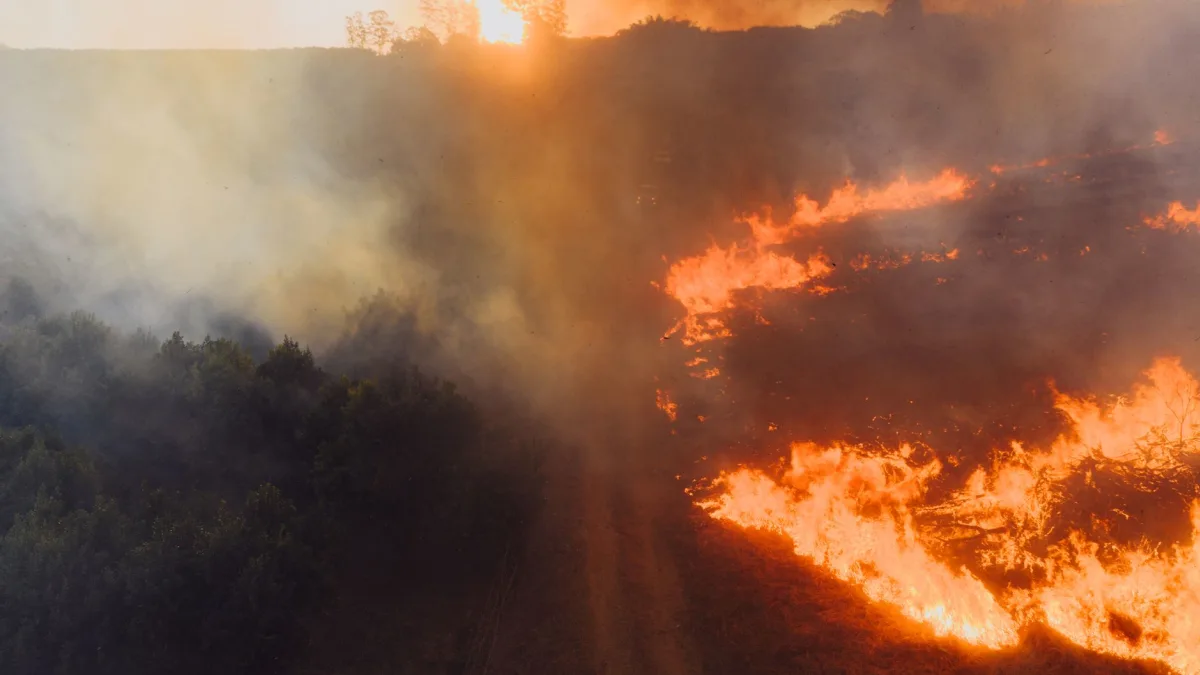 Trump Tariffs to Address Pollution Costs from Canadian Wildfires