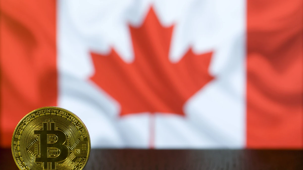 Canadian Dividend Pick Drops 13%: A Potential Long-Term Strategy