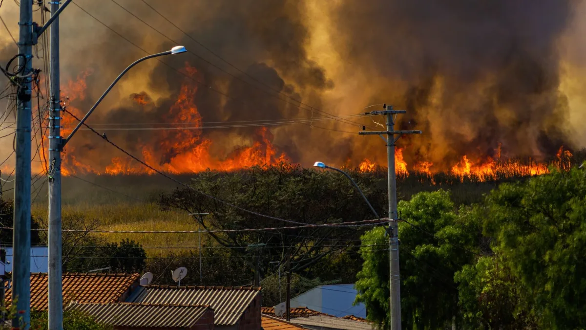 Wildfire Smoke to Clear Northeast Before World Cup Final on July 16