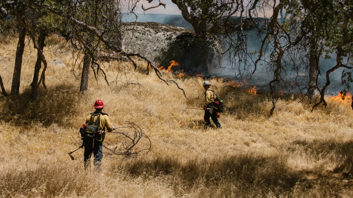 Trump Discusses Wildfire Control with Carney Amid Rising Risks