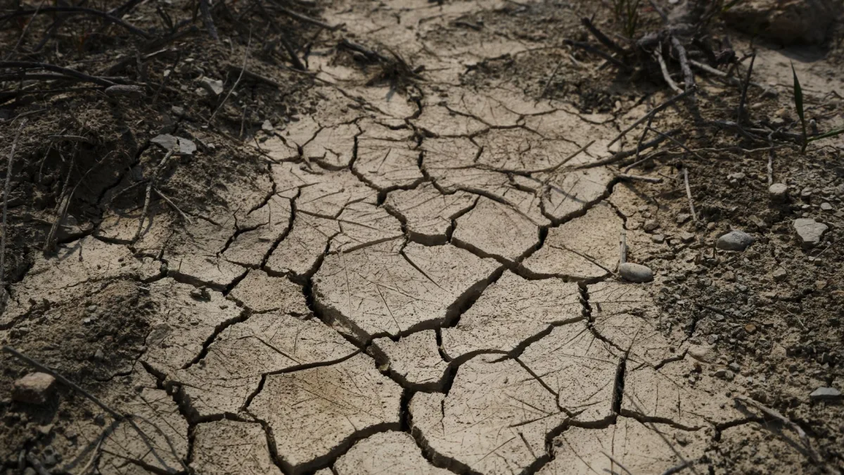 UK Weather Service Chief Discusses 2023 Heatwaves and Climate Impact
