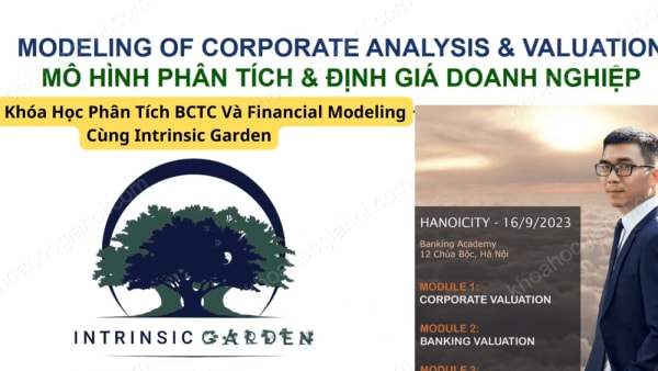 Khóa Học Phân Tích Bctc Và Financial Modeling Cùng Intrinsic Garden