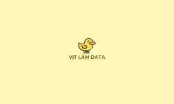 Combo 3 Khóa Học Vịt Data