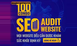 Combo Seo Audit Website – Khóa Đào Tạo Seo Audit Gtv Seo