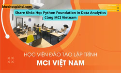 Khóa Học Python Foundation In Data Analytics Cùng Mci Vietnam