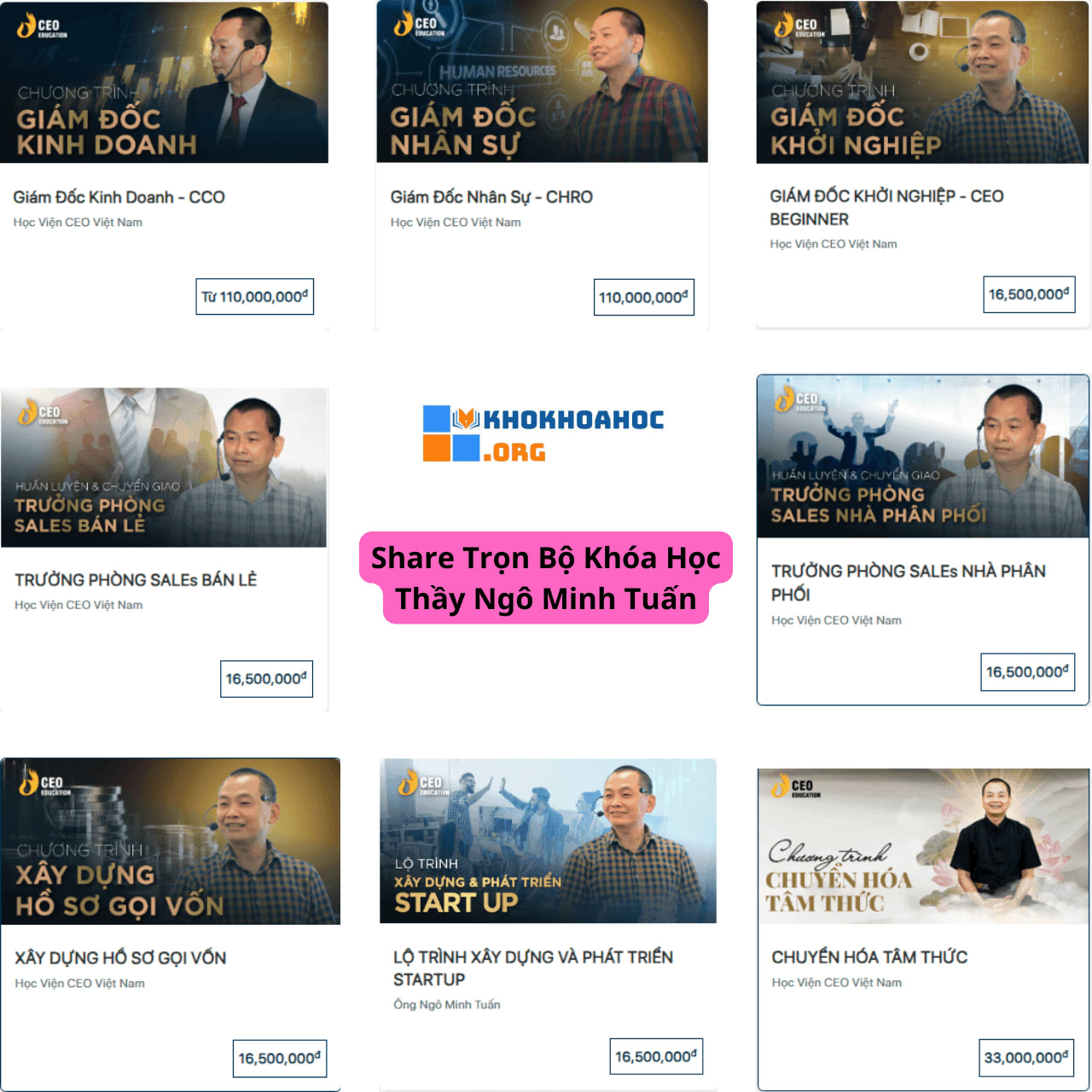 Share Trọn Bộ Khóa Học CEO Ngô Minh Tuấn