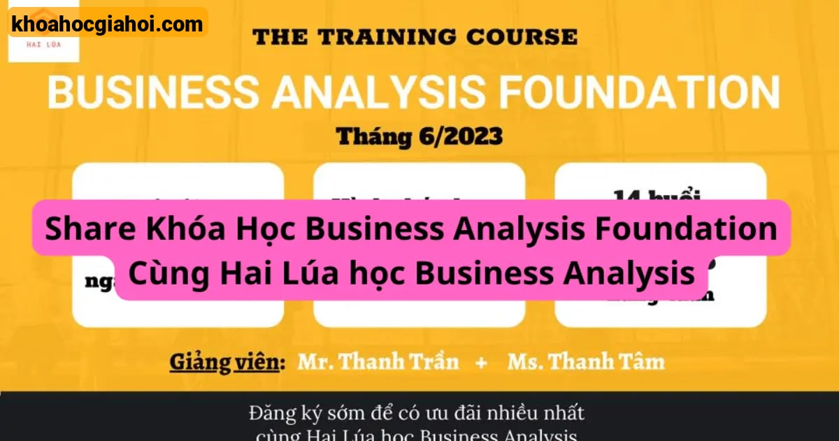 Khóa Học Business Analysis Foundation Cùng Hai Lúa Học Business Analysis