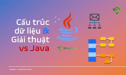 Khóa Học Cấu Trúc Dữ Liệu Và Giải Thuật Với Java Cùng Thân Triệu