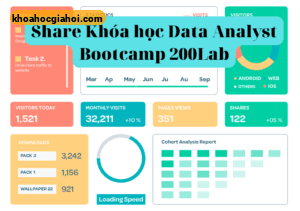 Khóa Học Data Analyst Bootcamp Cùng 200lab