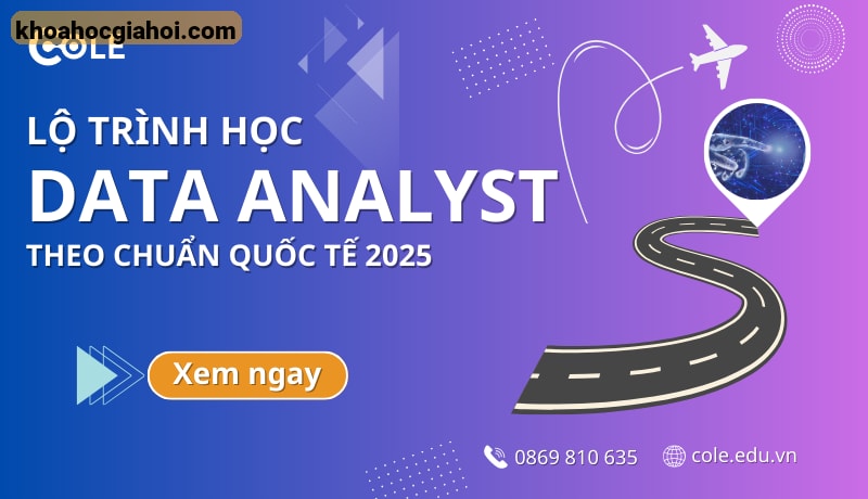 Khóa Học Data Analyst - Level A Cùng Cole.vn