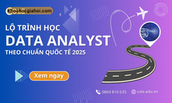 Khóa Học Data Analyst - Level A Cùng Cole.vn