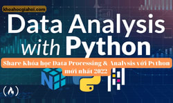 Khoá Học Data Processing & Analysis Với Python Cùng Nordic Coder