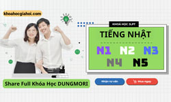 Khóa Học Dungmori Combo Tiếng Nhật Từ N1 Đến N5