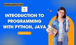 Khóa Học Introduction To Programming With Python, Java Dành Cho Người Mới Big Tech Cùng Engineer Pro