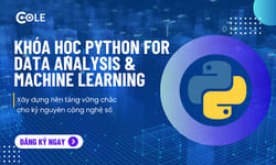 Khóa Học Khóa Python For Data Analysis & Machine Learning Cùng Cole.vn