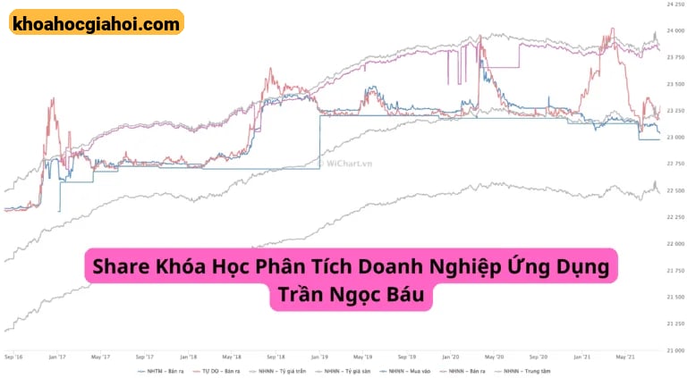 Khóa Học Phân Tích Doanh Nghiệp Ứng Dụng Trần Ngọc Báu Mới Nhất 2023