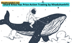 Khóa Học Price Action Trading By Nhaduhanhfx