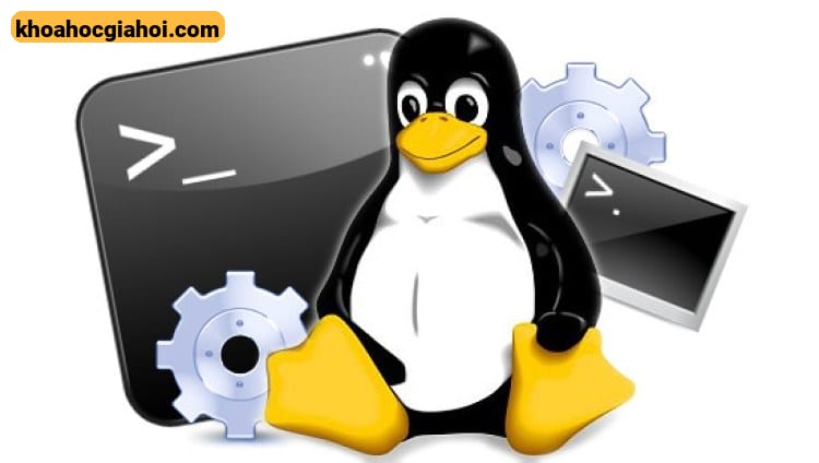 Khóa Học Quản Trị Hệ Thống Linux Lpi Cùng Bkacad