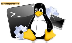 Khóa Học Quản Trị Hệ Thống Linux Lpi Cùng Bkacad