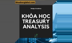 Khóa Học Treasury Analysis Cùng Hedge Academy
