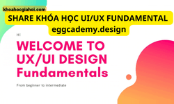 Khóa Học Ui/ux Fundamental Cùng Eggcademy – Dành Cho Người Mới Theo Học Ui/ux
