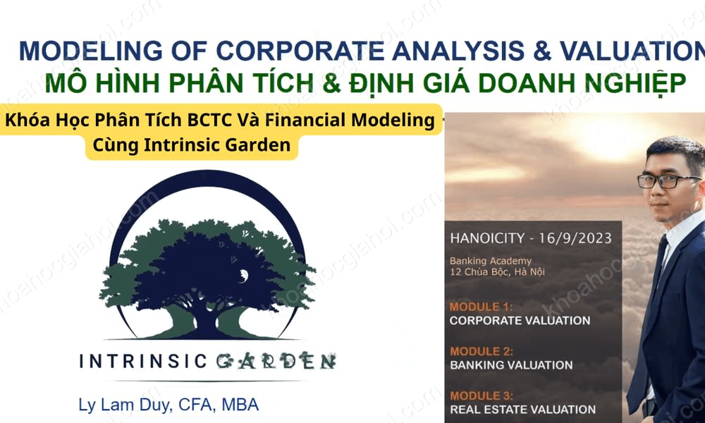 Khóa Học Phân Tích Bctc Và Financial Modeling Cùng Intrinsic Garden