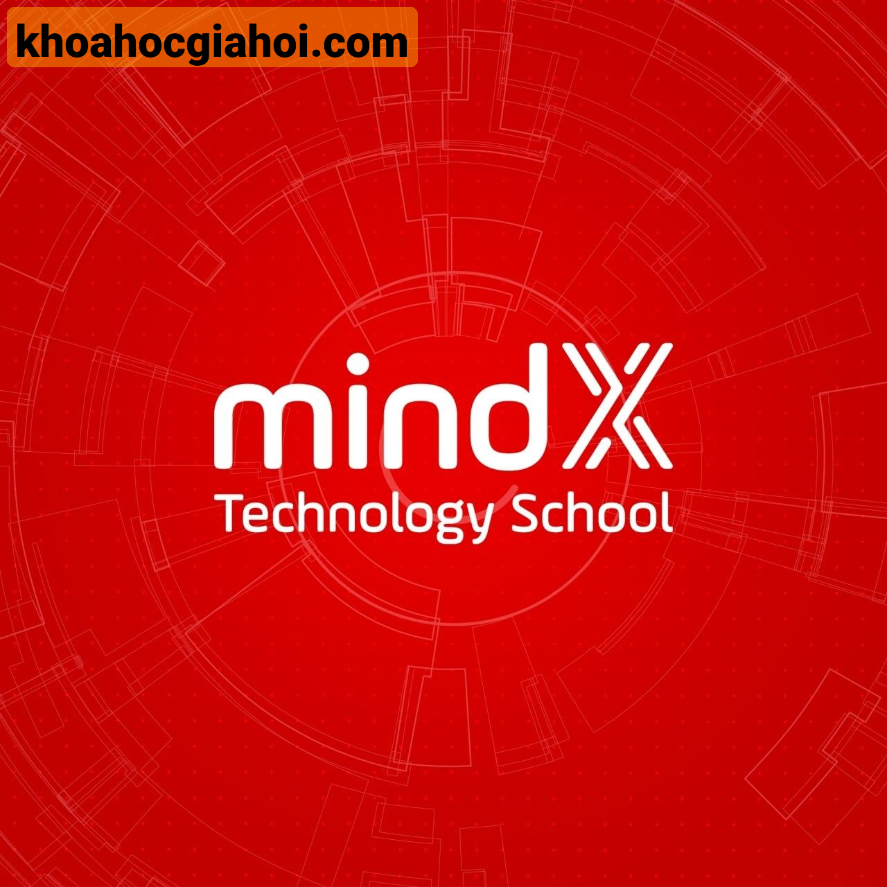 Combo 4 Khóa Học Master Business Và Data Skills Cùng Mindx