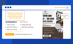 Khóa Học Khoa Học Dữ Liệu Và Trí Tuệ Nhân Tạo (aio 2025) Cùng Aivietnam