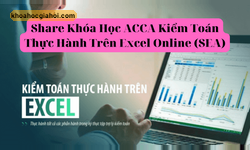 Khóa Học Acca Kiểm Toán Thực Hành Trên Excel Online (sea)
