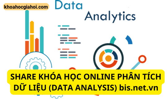 Khóa Học Phân Tích Dữ Liệu (data Analysis) Cùng Bis.net.vn