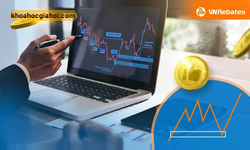 Khoá Học Smc Tinh Gọn Cùng Vnrebates