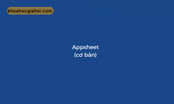 Khóa Học Appsheet Cơ Bản