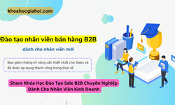 Khóa Học Đào Tạo Sale B2b Chuyên Nghiệp Dành Cho Nhân Viên Kinh Doanh