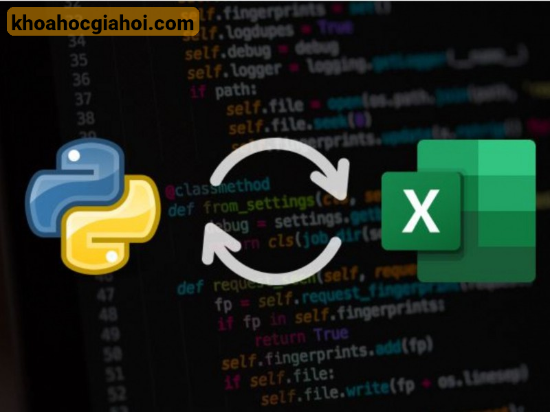 Khóa Học Lập Trình Tương Tác Python Excel Chìa Khóa Tối Ưu Công Việc Cùng Học Excel Online