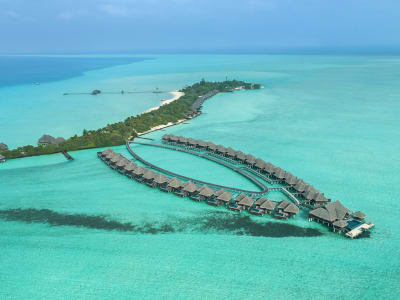Taj Exotica