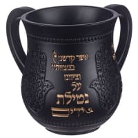תמונה 2