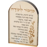 תמונה 2