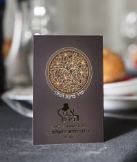 תמונה 1