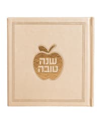 תמונה 2