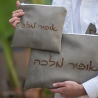 תמונה 3