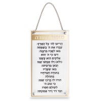 תמונה 2