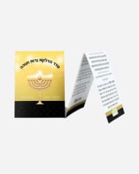 תמונה 1