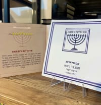 תמונה 1